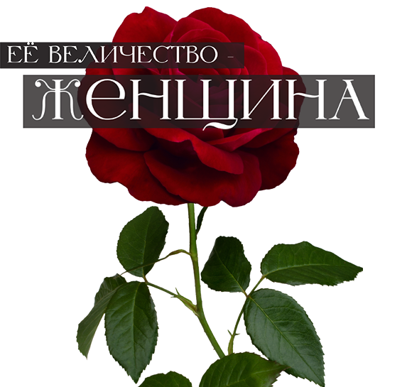 Шоу-программа 08.07.2023