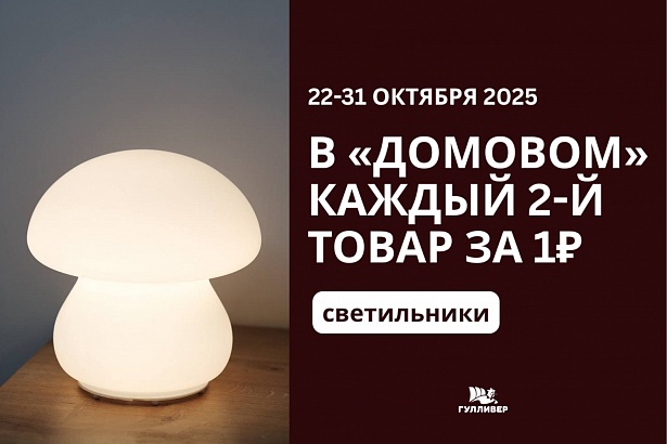 Акция в «Домовом»: 2-й товар за 1₽ (светильники)